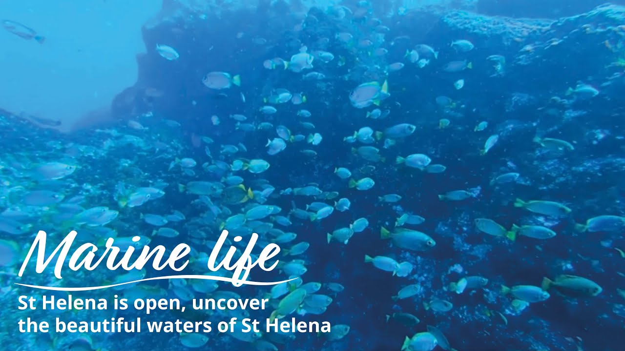 St Helena is Open, uncover the beautiful waters of St Helena.