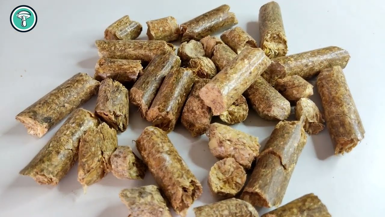 Cómo hidratar el pellet de paja para fabricar el sustrato para cultivo de setas