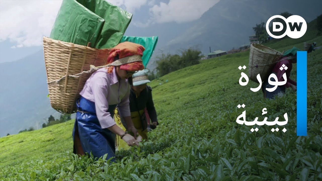 وثائقي | متمردو البيئة في جبال الهيمالايا | وثائقية دي دبليو