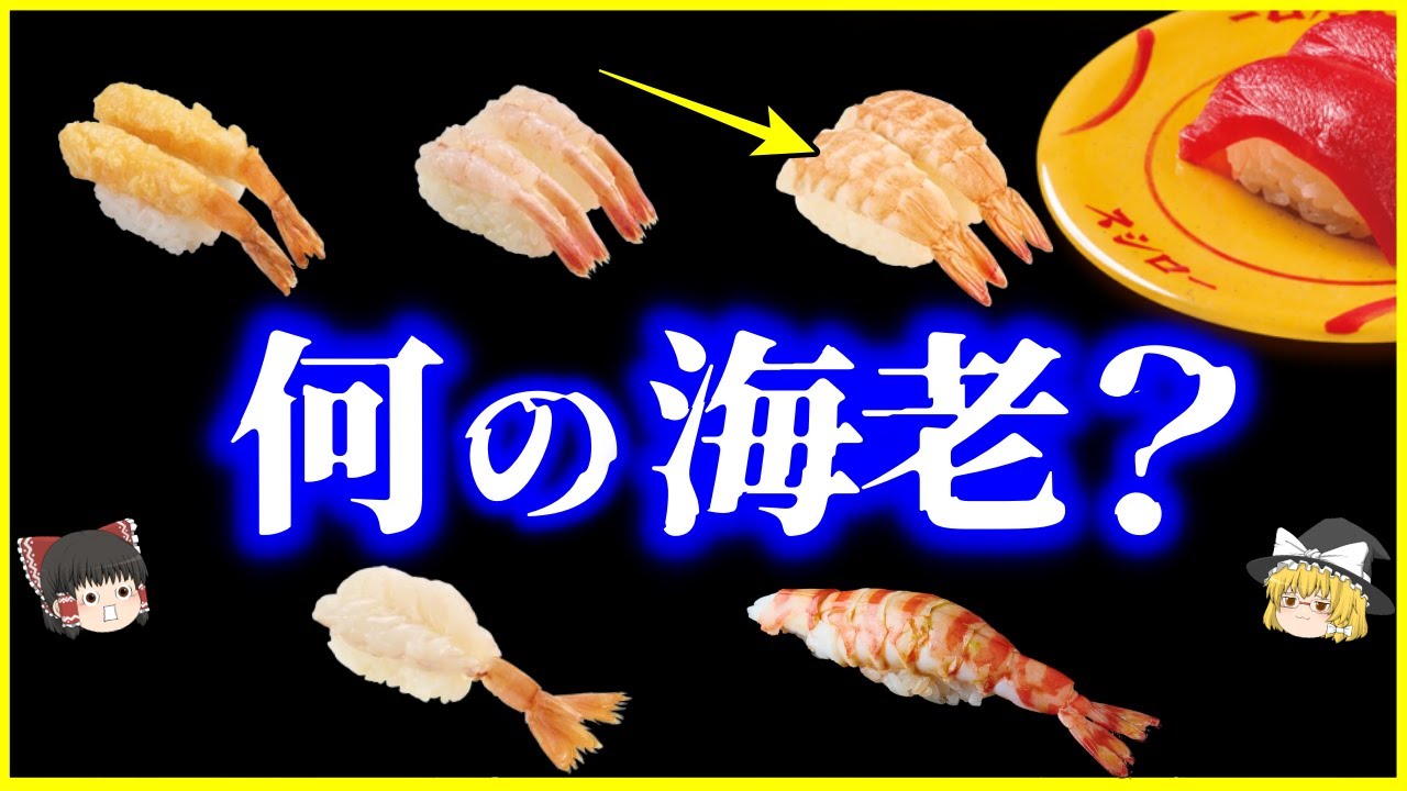 【ゆっくり解説】大手回転寿司店は公表してない⁉️回転寿司のあの海老…何のエビ？を解説/スシローのエビは●●エビ…？甘エビ、ボタンエビ、ブドウエビなど