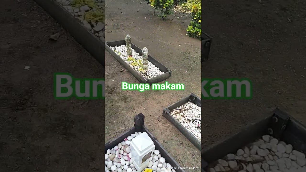 NABUR BUNGA DI MAKAM AYAHANDA TERCINTA DI BARABAI 01012026