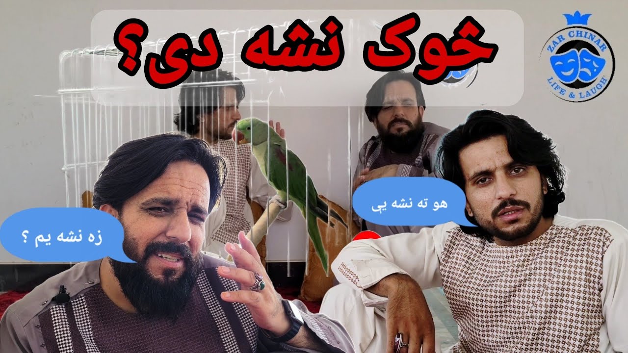 څوک نشه دی زه نشه يم ؟ 😁