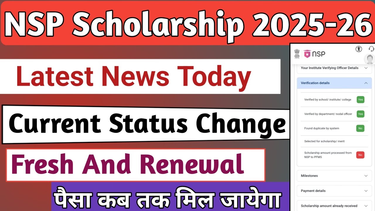 NSP Status | Fresh And Renewal Current Status | Re validation | Re Validation Status Change | Status