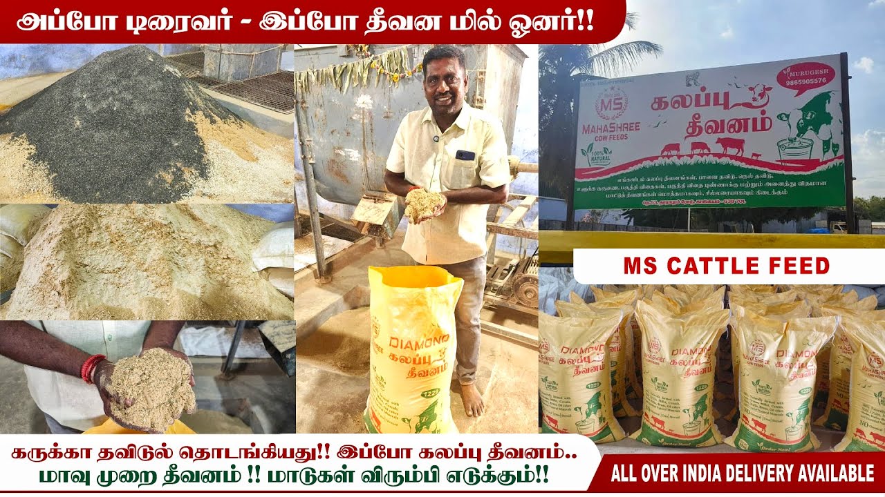 🐄🐂பால் உற்பத்தி அதிகரிக்கும்‼️கலப்பு தீவனம் | 10 வகையான மூல பொருட்கள்| MS Cattle Feed 