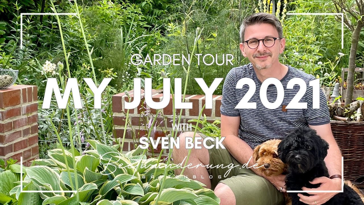 Garden / Garten:  Garden tour July 2021 / Gartenrundgang Juli 2021 / beetwunderung.de / Gartenblog