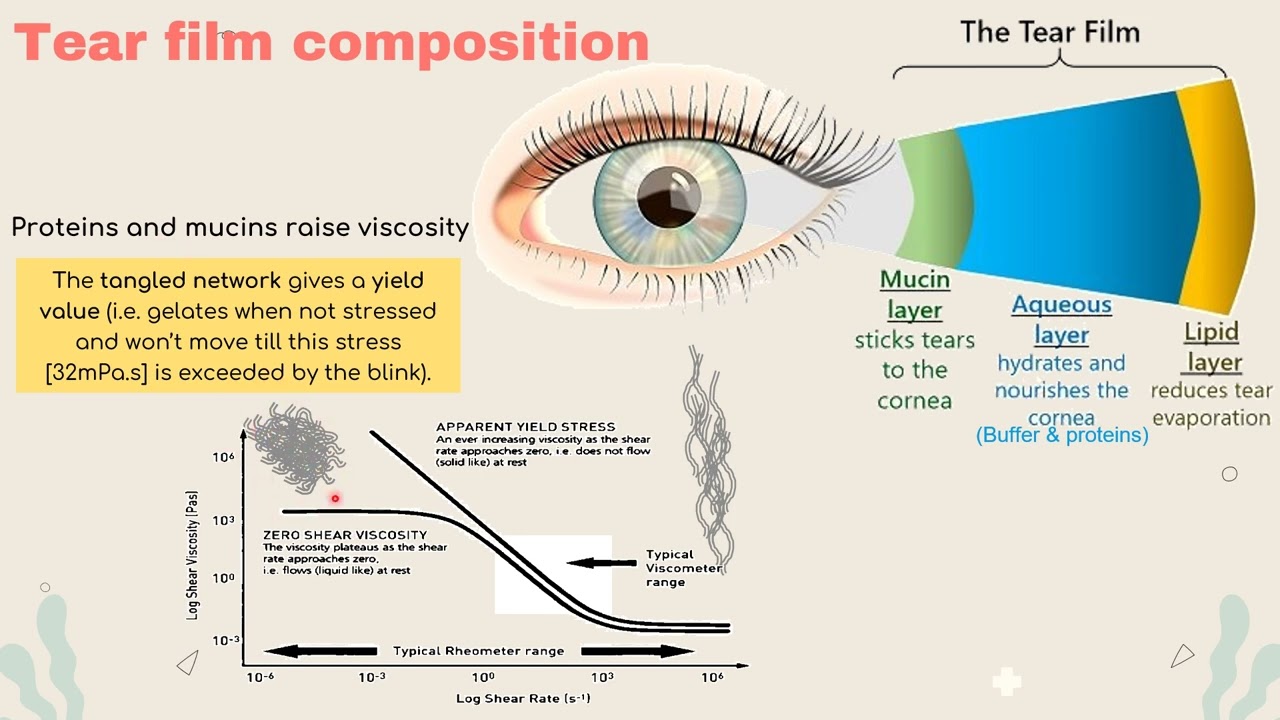 Ophthalmic drug delivery 1
