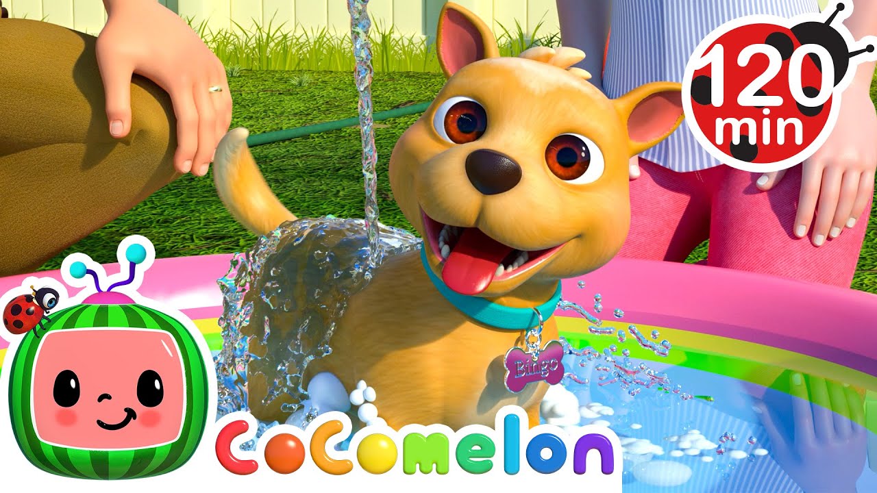 Bath Time with Bingo | Animals for Kids | Animal Cartoons | Funny Cartoons | Learn about Animals