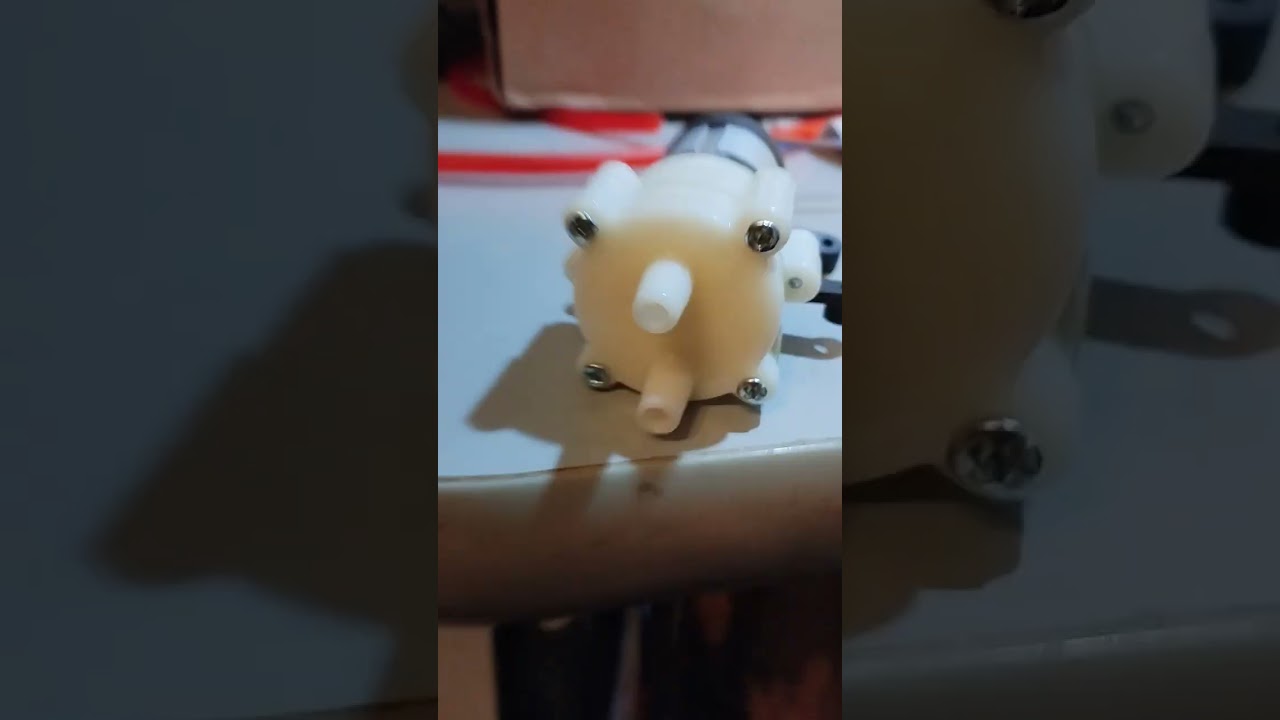 19 января 2026 г.