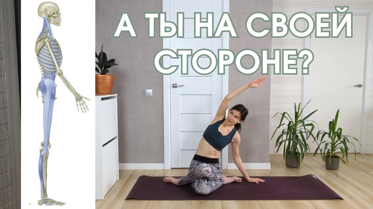 Баланс сторон | Латеральная линия тела