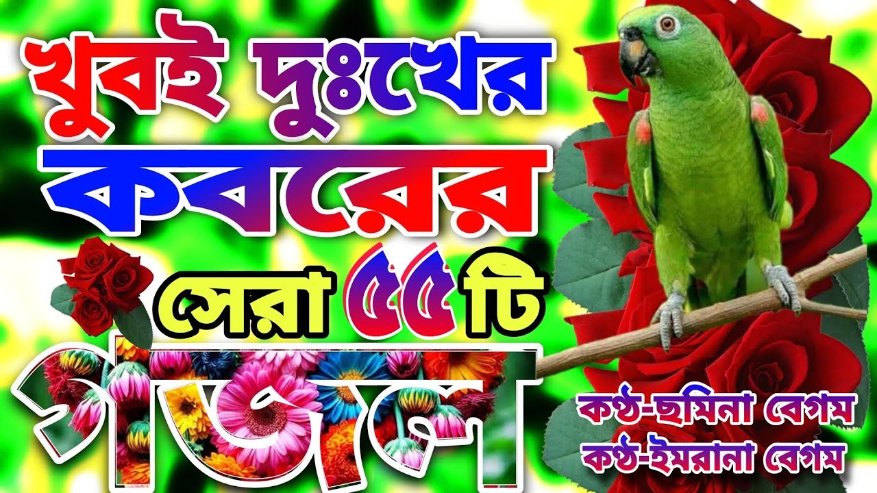 খুবই দুঃখের কবরের শেষ বিদায়ের কষ্টের সেরা ৫৫টি মন মাতানো গজল | Imrana Gojol |New best islamic song