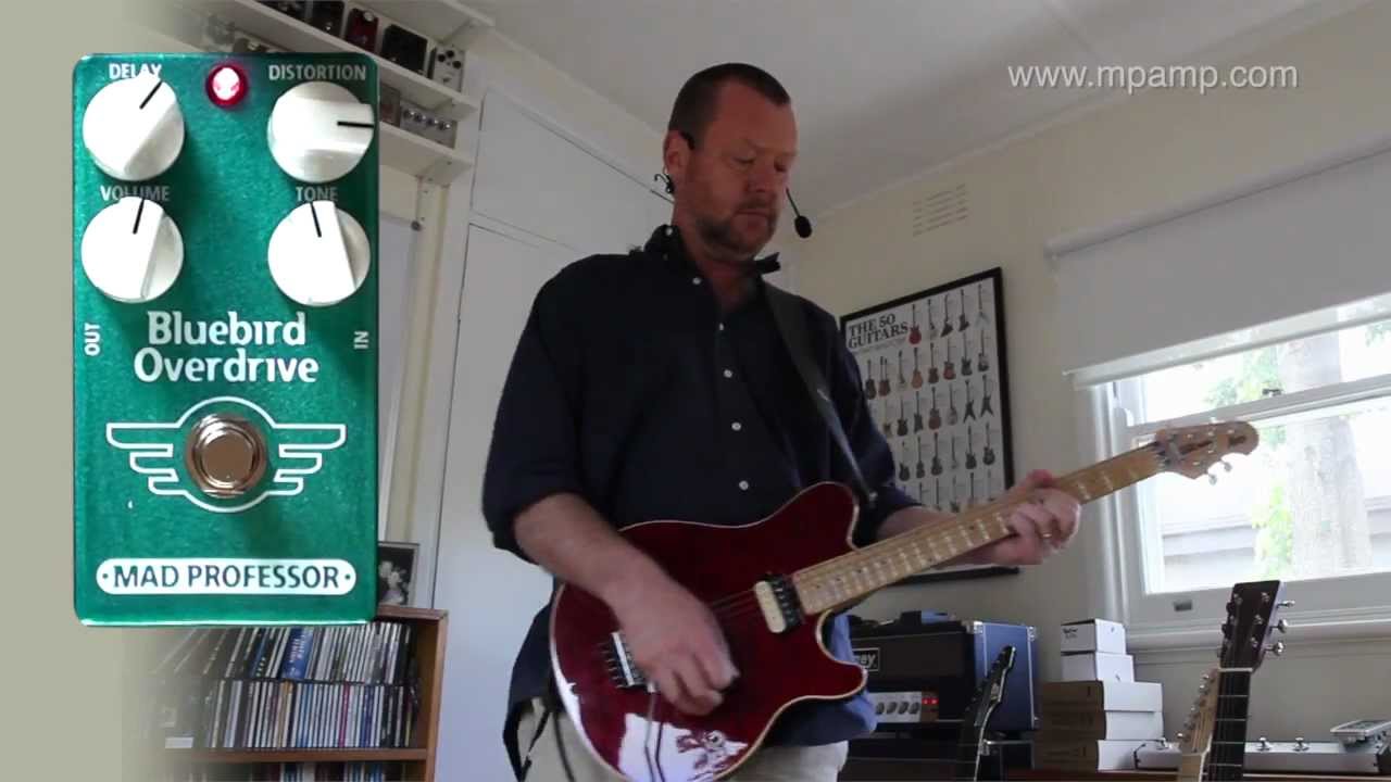 Mad Professor : Bluebird Overdrive/Delay