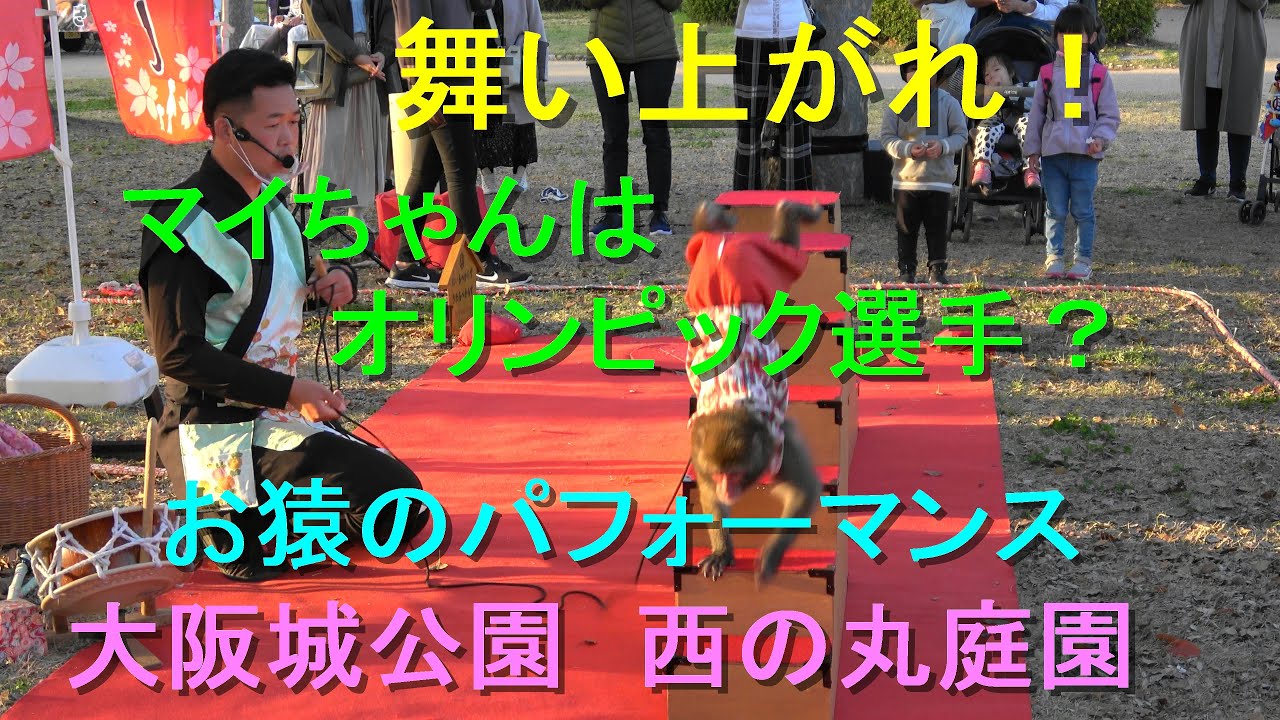 舞い上がれ！マイちゃんはオリンピック選手？  お猿のパフォーマンス　大阪城公園　西の丸庭園
