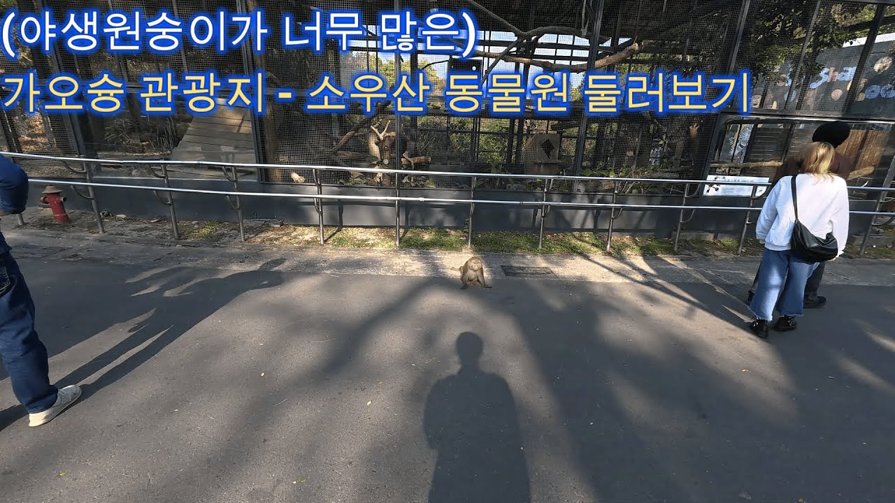 대만 가오슝 관광지 - 소우산 동물원 둘러보기