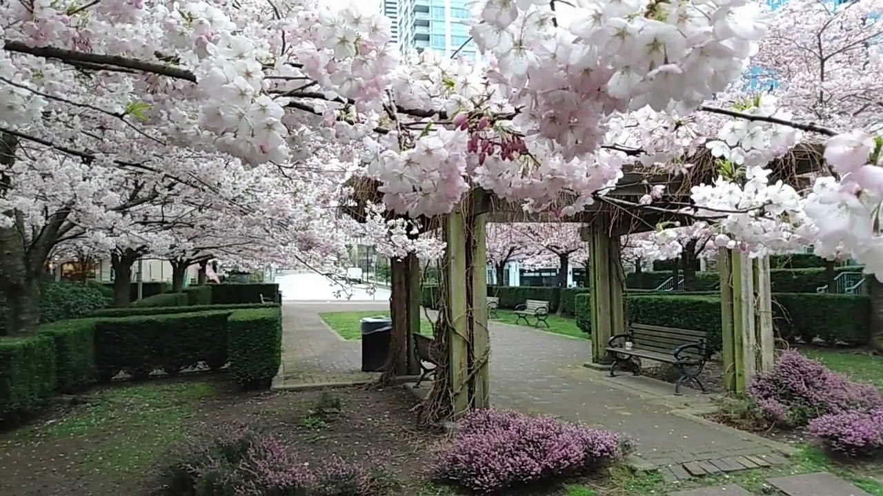 april showers