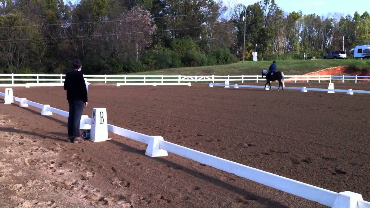 Gaited Dressage with a Rocky Mountain Horse