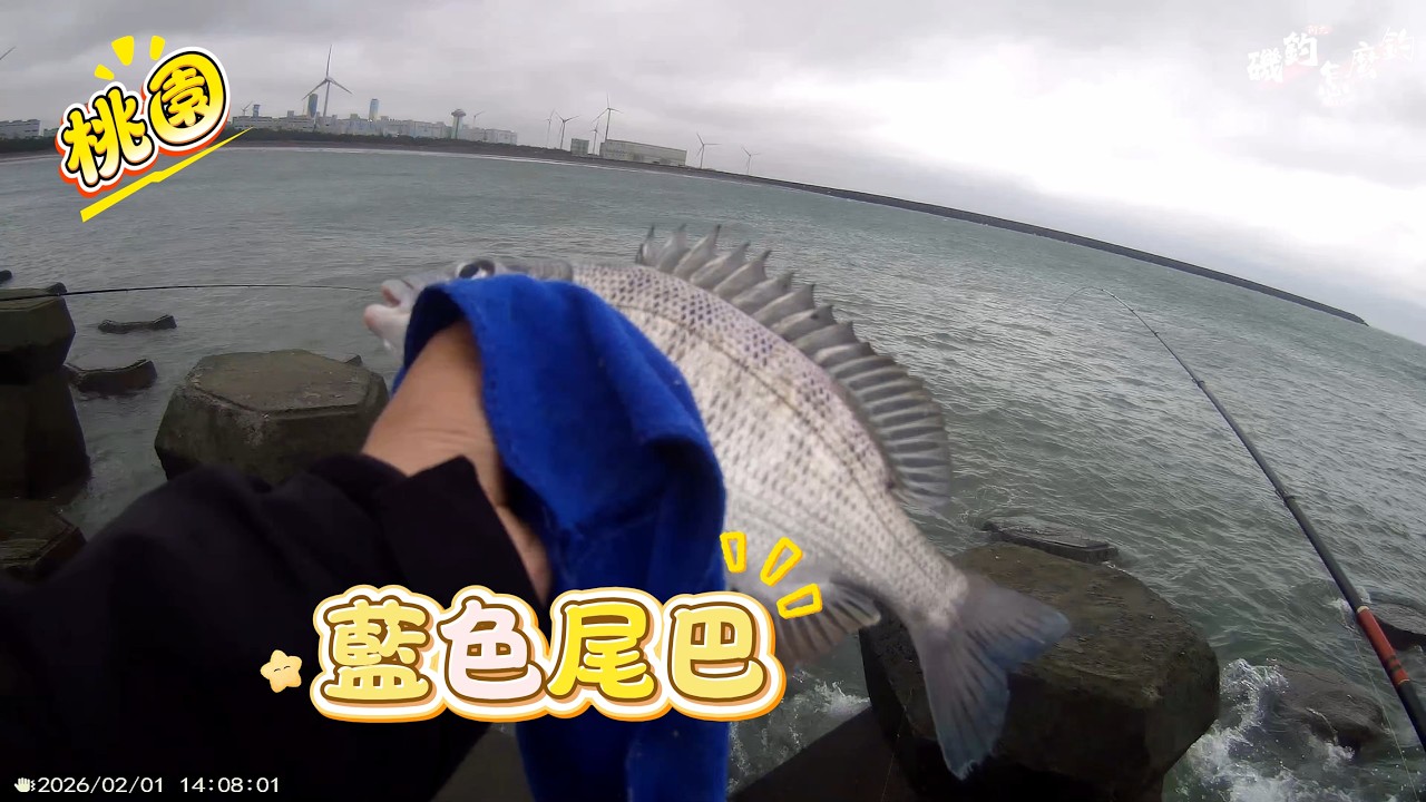 大潭南，最近烏魚還是肆虐，要來這邊的話要有手痠的心理準備，手持續痠痛三個多月了，怎麼都不會好呢？#大潭 #磯釣 #磯釣怎麼釣 #海釣 #黏巴達釣餌