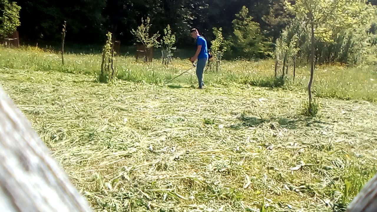 Test motocoasa ruris dac 310 2.5 cp