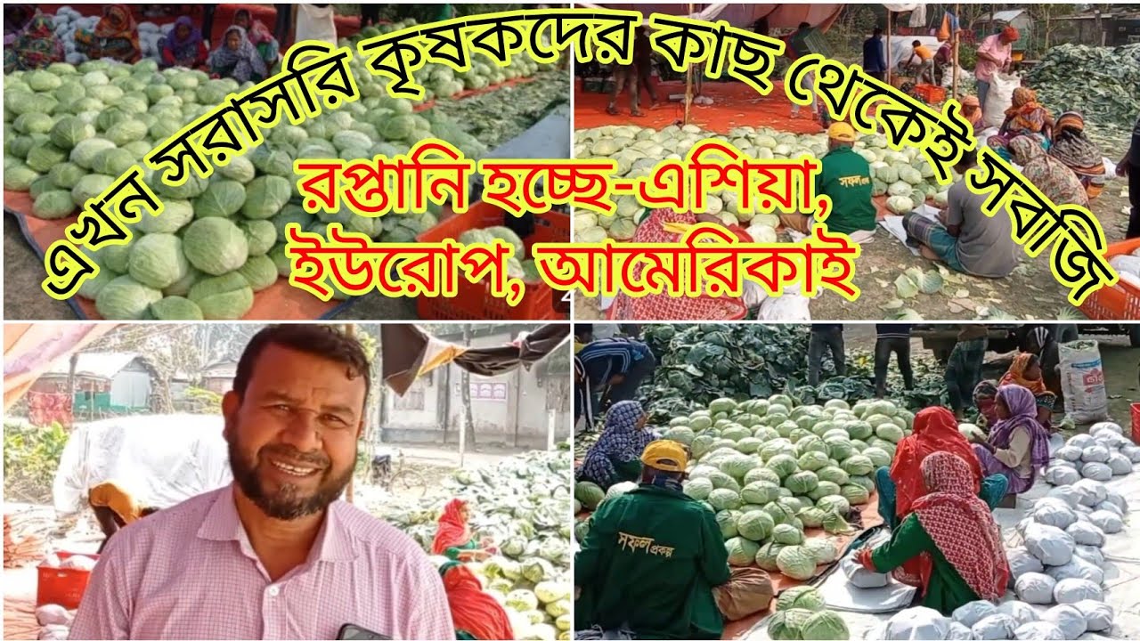 বাংলাদেশ থেকে যেভাবে বিদেশে সবজি রপ্তানি করা হয়। How vegetables are exported from Bangladesh #export