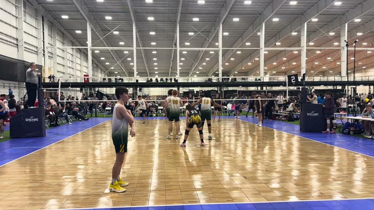Apex 18 black vs Mi elite 18s