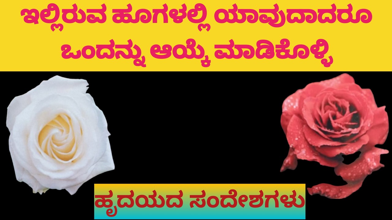 ll 💕 ನಿಮ್ಮ ಪರ್ಸನಿನ ಹೃದಯದ ಸಂದೇಶಗಳು 💕ll Pick A Card ll