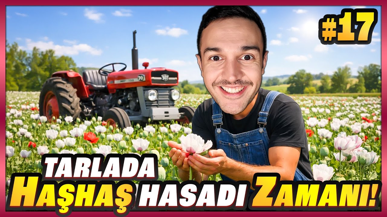 FARKLI ÜRÜN DENİYORUM: HAŞHAŞ HASADI.. 🌱🚜 | FS25 Mega #17