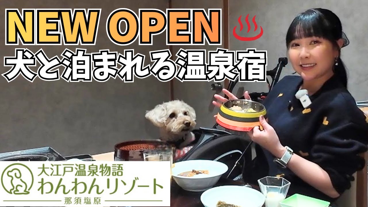 わんわんリゾート那須塩原｜NEW OPENの犬と泊まれる温泉宿が天国すぎた（大江戸温泉物語）