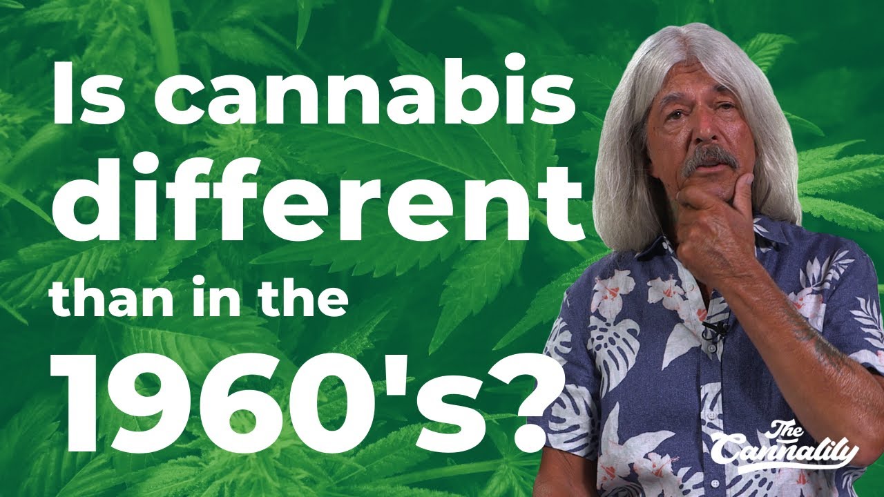 Is weed from the 1960s different than today's? ☮️