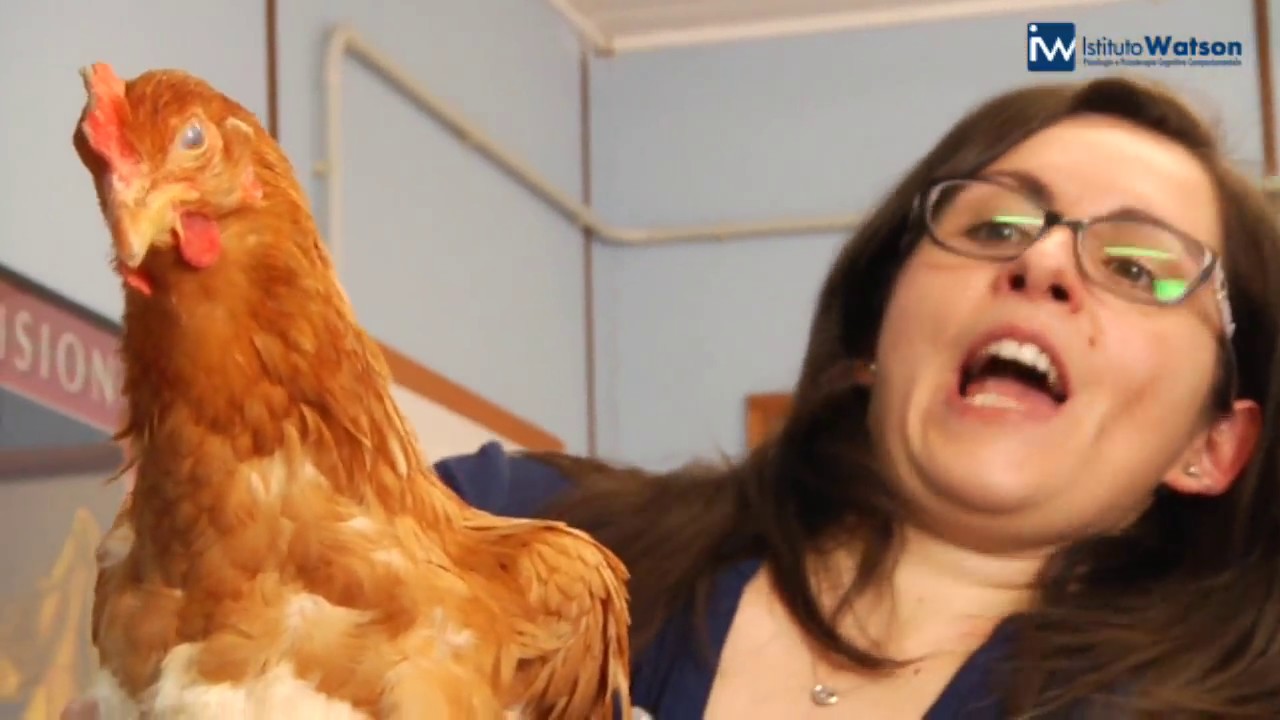 THE FEAR DOCTOR di Enrico ROLLA - VALERIA e la fobia delle galline