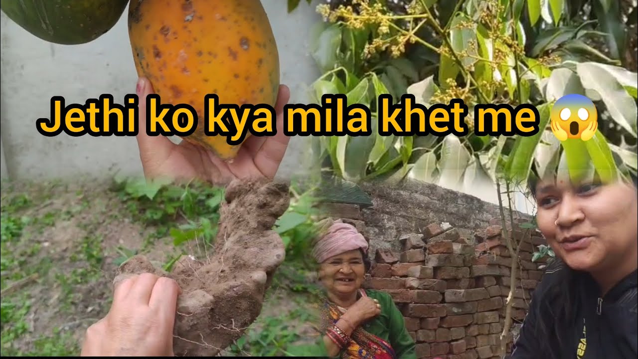 Aaj jethi ki Khushi Koi thikana nahin hai 😱 kya Mila jethi ko khet mein saisa🤔