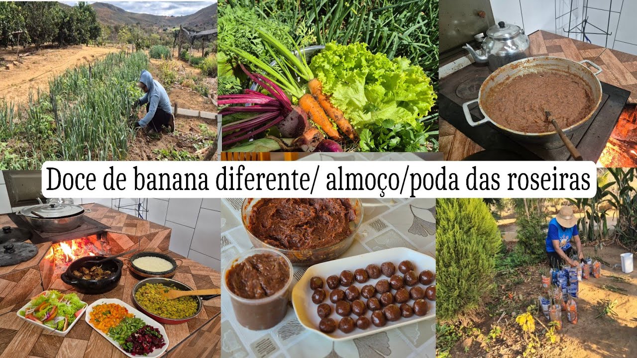 Doce de banana com coco/ poda das roseiras/ como fazer mudas/ almoço delicioso do dia
