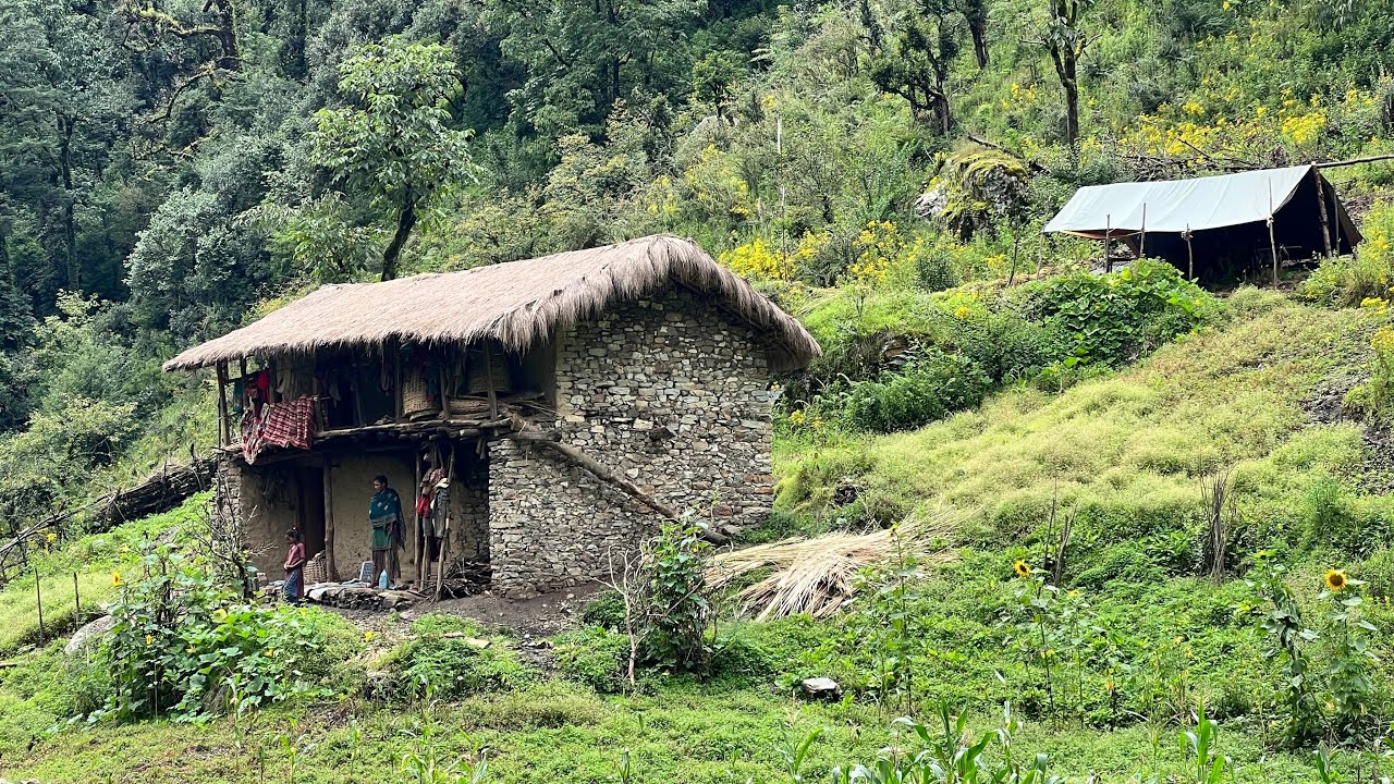 Very Struggling Lifestyle of Nepali Mountain Village: Daily Life of Rural Nepal || IamSuman