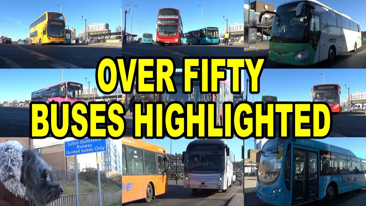Buses in Luton with Ruby (February 2023)