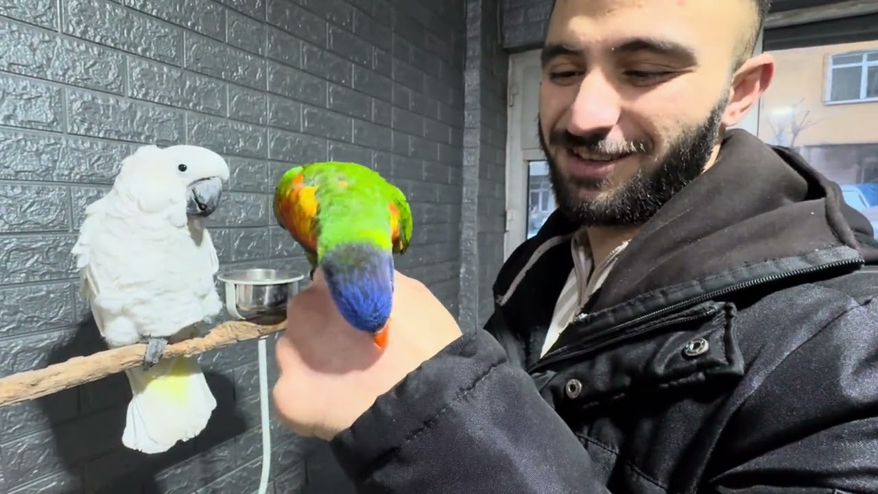 KISKANÇ ÇIRAK PAMUĞU SEVDİRMİYOR 😄