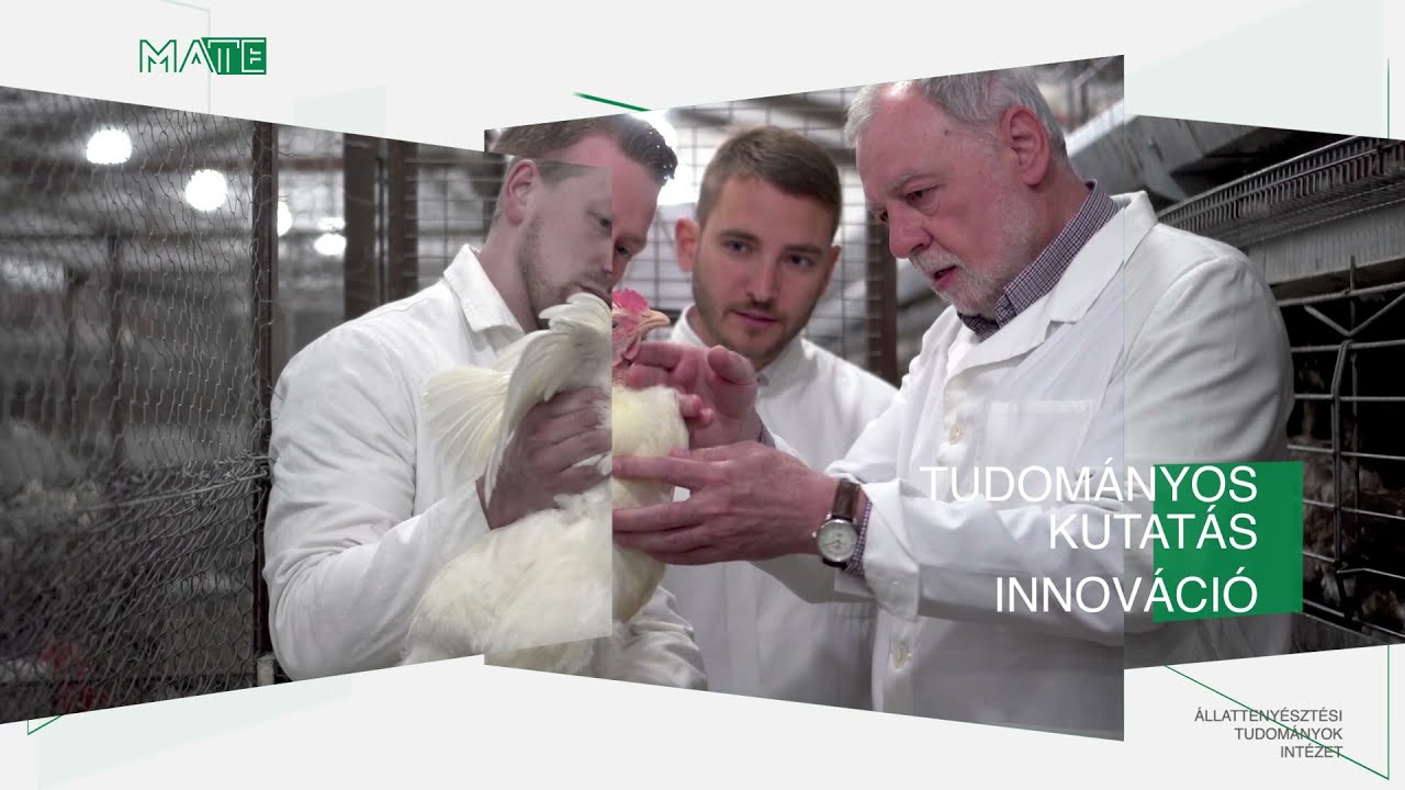 👀 Ismerjétek meg közelebbről a #MATE Állattenyésztési Tudományok Intézetét! 🐄 🐖 ⚗️
