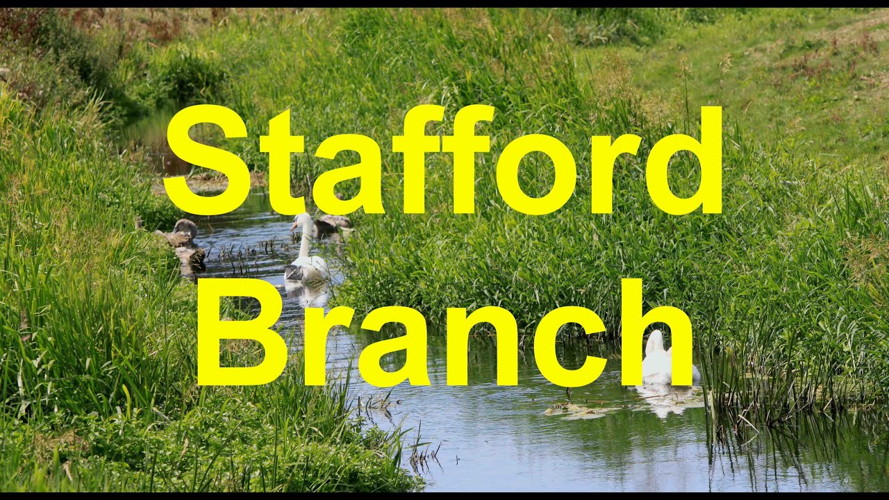 The Stafford Branch Canal