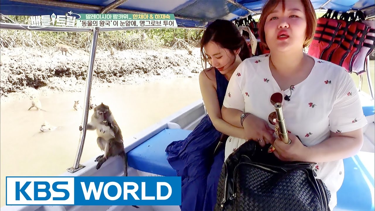 The mangrove tour, the kingdom of animals [Battle Trip / 2017.05.14]