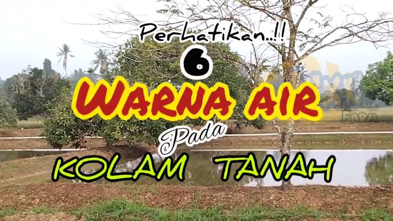 6 Warna Air Pada Kolam Tanah