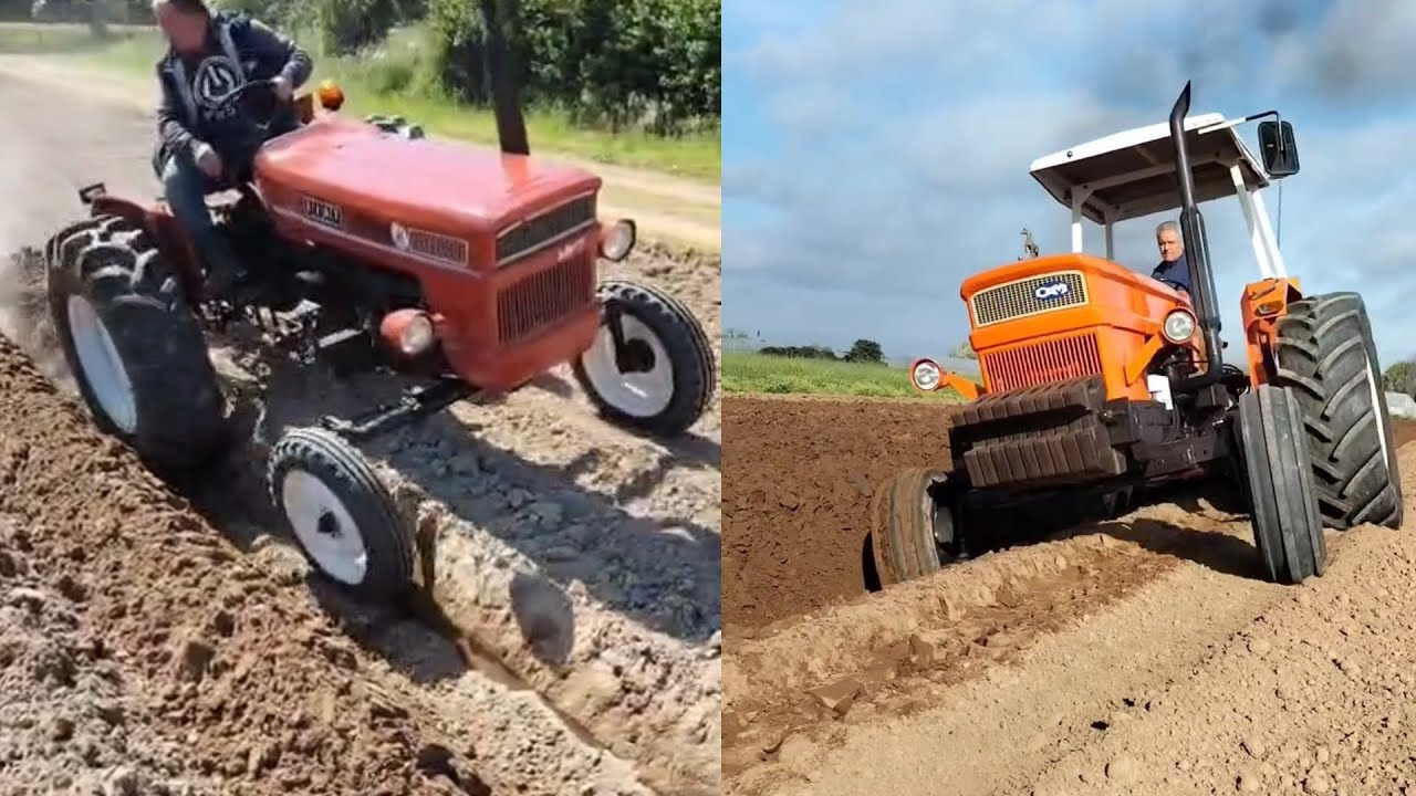 Fiat 300 vs OM 850 | Powerful Aratura Showdown | Pippo Tovo's Epic Tractor Test