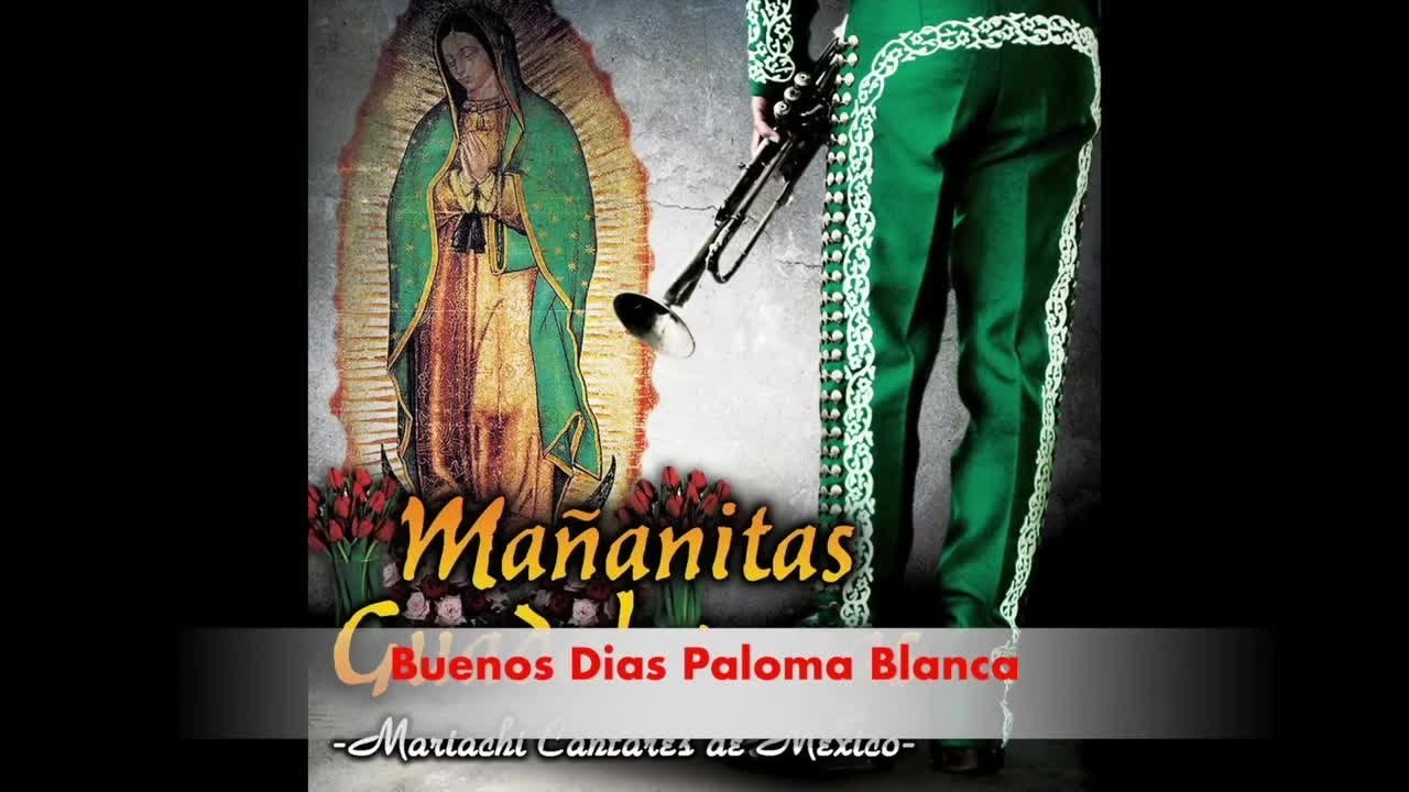 Mariachi Cantares de Mexico 