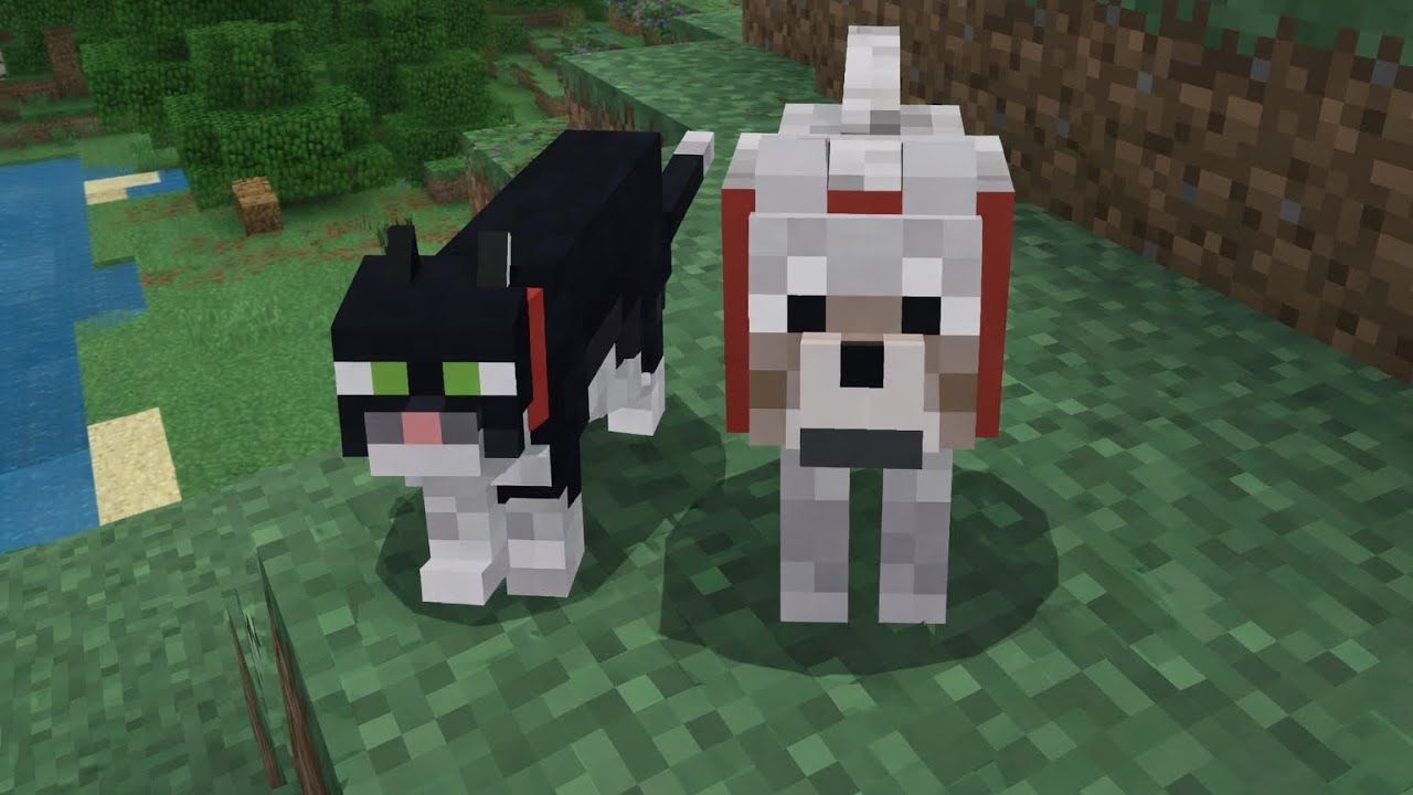 Minecraft’ta kedi ve köpek etkinleştirdim
