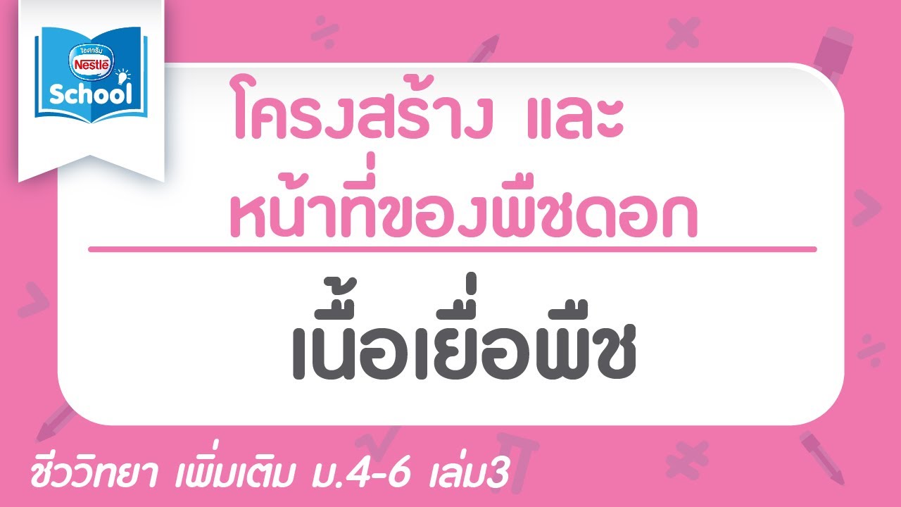 11.1 เนื้อเยื่อพืช