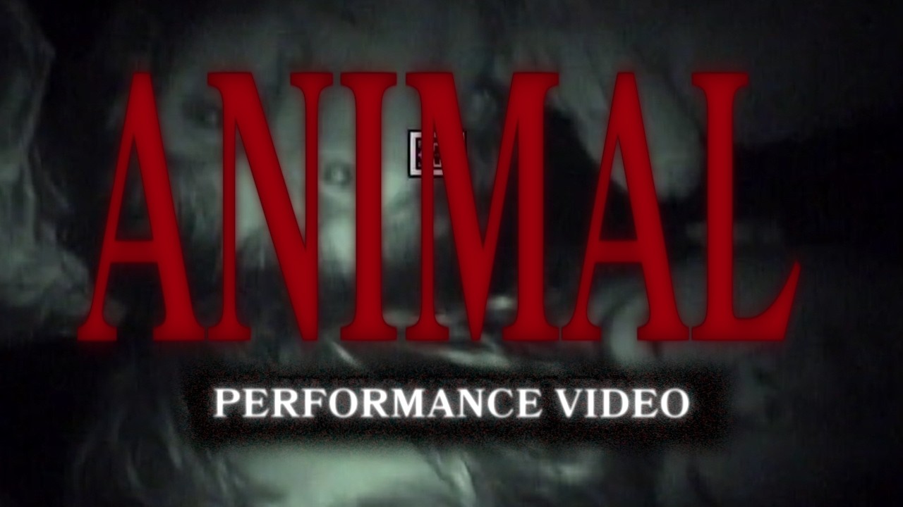 FULL CIRCLE BOYS - ANIMAL (Official Visualizer)