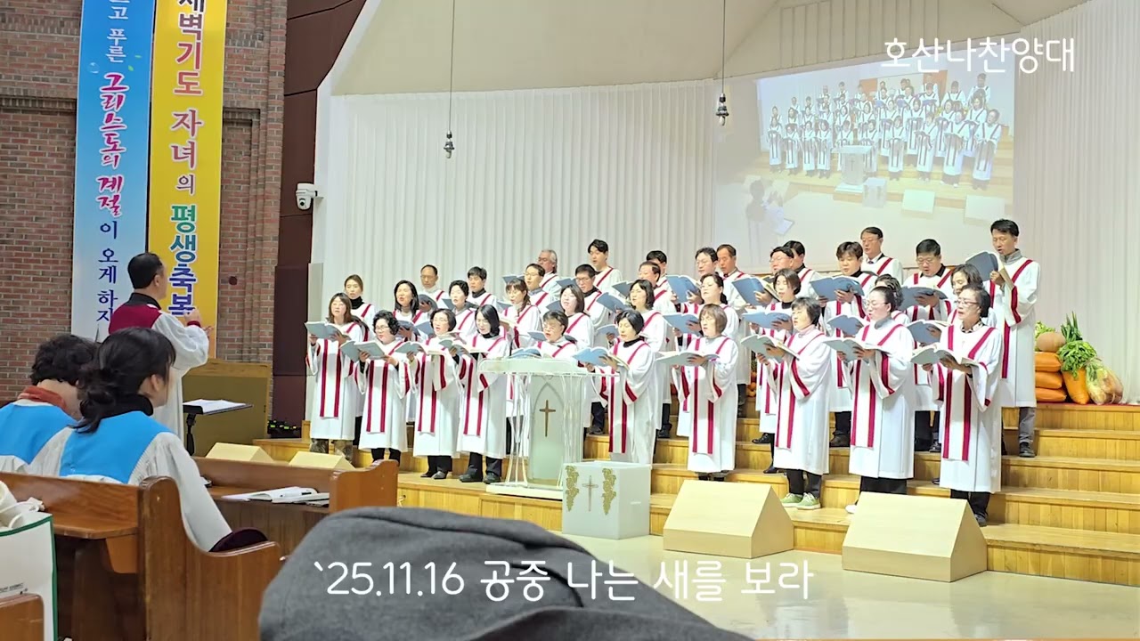`25 11 16 공중 나는 새를 보라