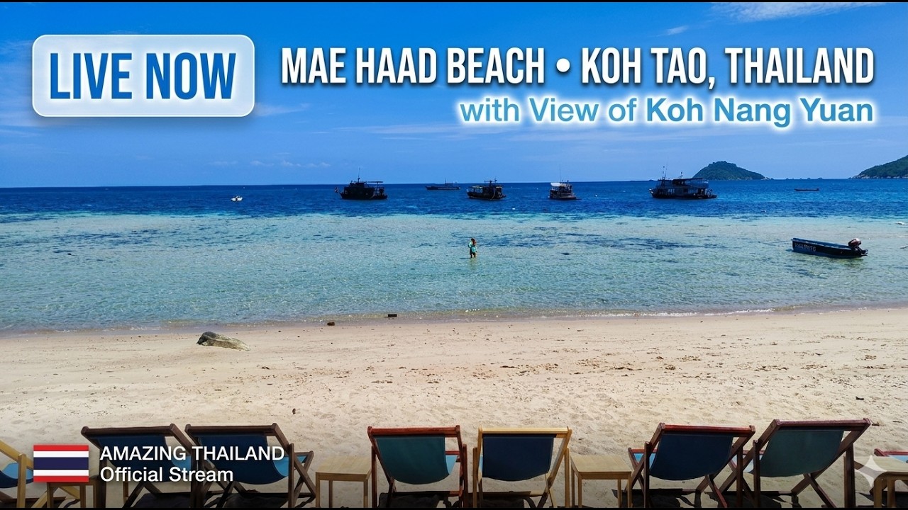 Koh Tao Island 2026: Live Stream from the Beach | View of Koh Nang Yuan Island | Weather Conditions