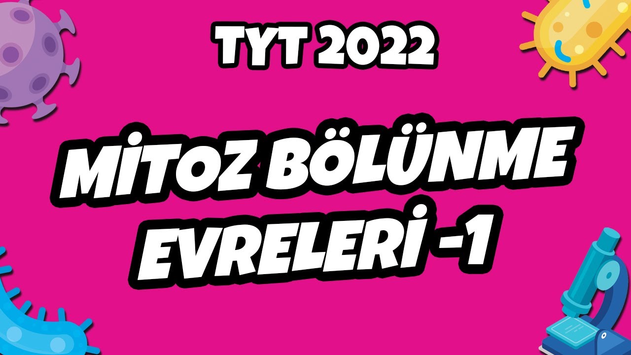 Mitoz Bölünme Evreleri -1 | TYT Biyoloji 2022 #hedefekoş