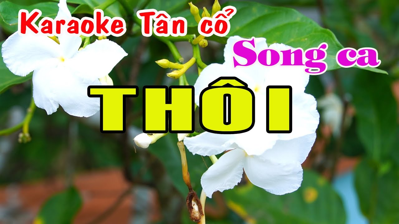 Karaoke tân cổ THÔI - SONG CA