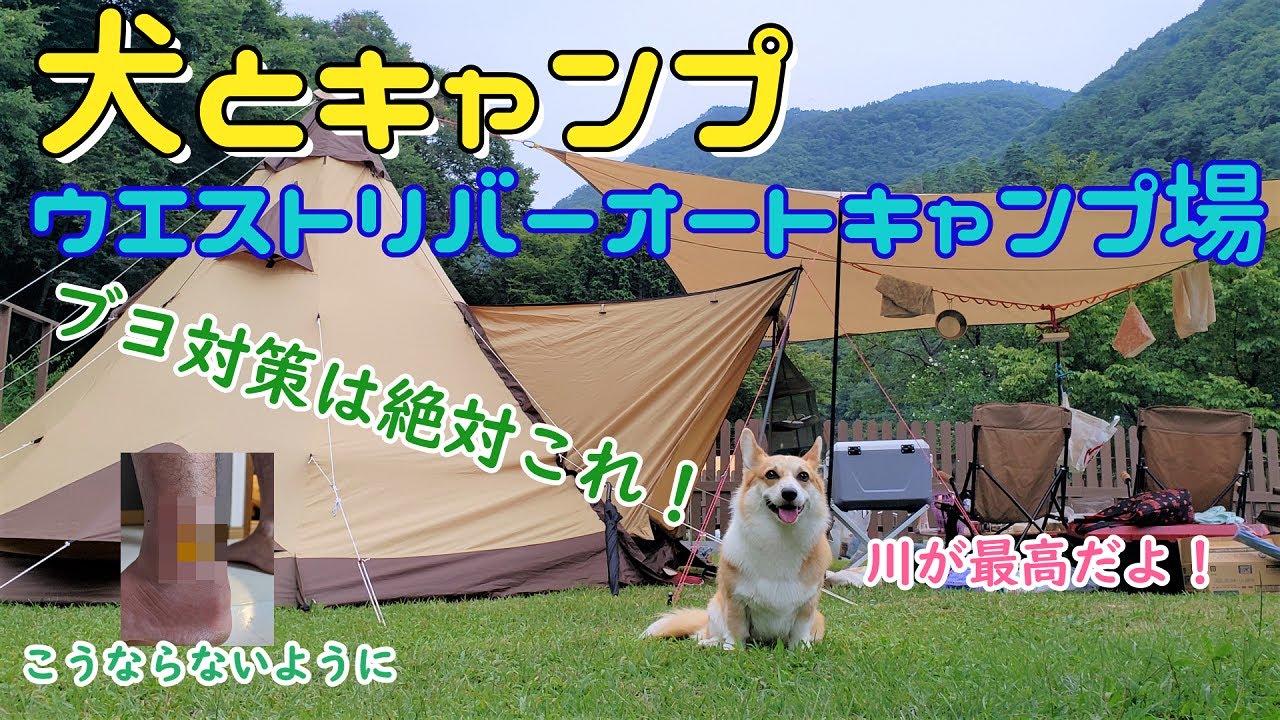 【ウエストリバーオートキャンプ場】きれいな川があるなら絶対ブヨ対策！安心して川キャンプしよう♪
