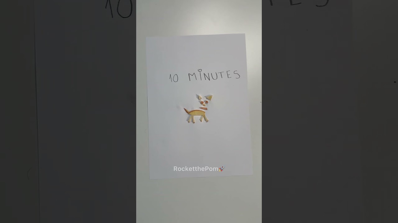 Drawing my Dog 😳🤌 *HYPER REALISTIC* | #puppy #pomeranian #dogs #puppies #dogshorts #dog #shorts