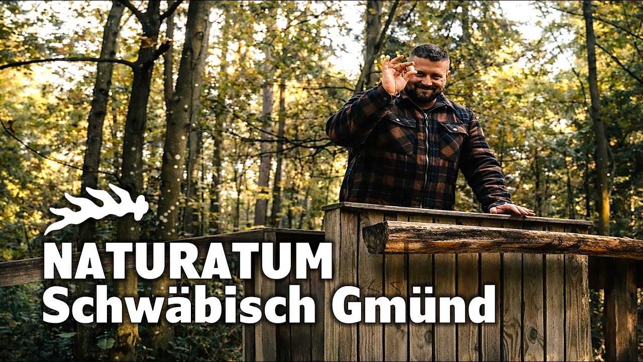 NATURATUM | Schwäbisch Gmünd - Erlebnispfad und Kugelbahn im Taubentalwald