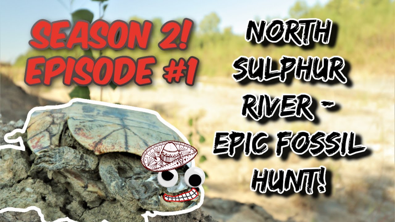 We Found EVERYTHING in the North Sulphur River! #Arrowheads #FossilHunting